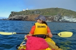 Kayaking at Taiaroa Headland