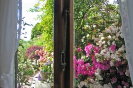 View out Lauralie Suite Twin Bedroom