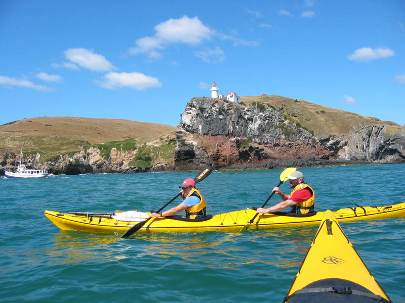 Kayaking at Taiaroa Headland